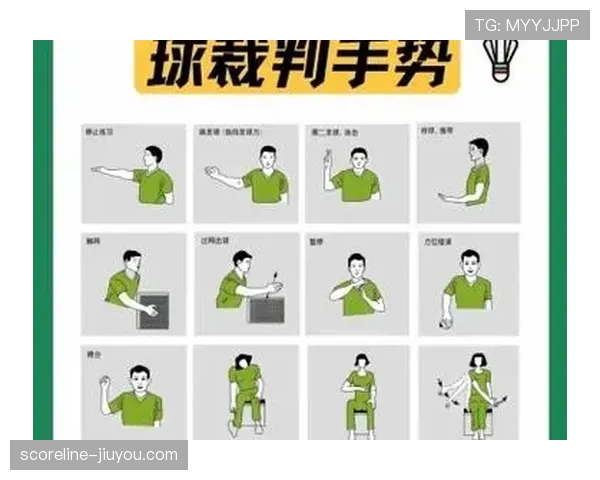 新手必看：如何正确判断球场上的走步违例？